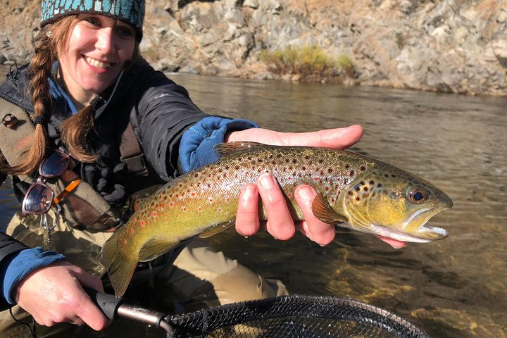 Solo Angler: Brown Trout